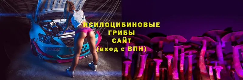 что такое   Киреевск  Галлюциногенные грибы Cubensis 